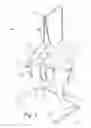Fig. 02 - Portable dog-washing unit