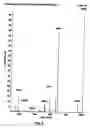 Fig. 07 - Triple quadrupole mass spectrometer with capability to perform multiple mass analysis steps