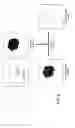 Fig. 09 - System and method employing photokinetic techniques in cell biology imaging applications