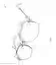 Fig. 02 - Spectacles with peripheral lens support