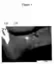 Fig. 02 - Hyperspectral imaging calibration device
