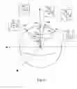 Fig. 07 - Instantaneous polarization measurement system and method
