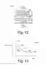 Fig. 09 - Video coding using wavelet transform of pixel array formed with motion information