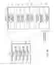 Fig. 35 - Information storage medium, information reproduction device, information reproduction method