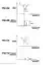 Fig. 07 - Camera apparatus and method including blur detection feature