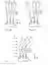 Fig. 02 - Method and injection nozzle for interspersing a gas flow with liquid droplets
