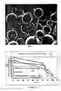Fig. 02 - Process for the production of a titanium alloy based composite material reinforced with titanium carbide, and reinforced composite material obtained thereby