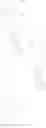 Fig. 31 - Hydroxypyridonate and hydroxypyrimidinone chelating agents