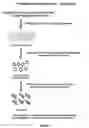 Fig. 07 - Cochleate preparations of fragile nutrients