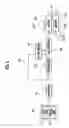 Fig. 06 - Fuel cell system