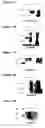 Fig. 10 - Cytoplasmic inhibition of gene expression and expression of a foreign protein in a monocot plant by a plant viral vector