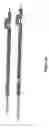 Fig. 13 - Cytoplasmic inhibition of gene expression and expression of a foreign protein in a monocot plant by a plant viral vector