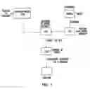 Fig. 02 - Arrays for detecting nucleic acids