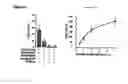 Fig. 07 - Oligonucleotides which inhibit expression of the OB-RGRP protein