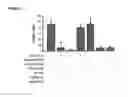 Fig. 08 - Oligonucleotides which inhibit expression of the OB-RGRP protein