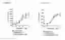 Fig. 09 - Oligonucleotides which inhibit expression of the OB-RGRP protein