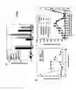 Fig. 02 - Method of screening modulators of Nod1 signaling