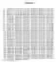 Fig. 02 - Detection of polymorphisms in the human 5-lipoxygenase gene