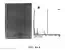 Fig. 09 - Preparation of metal nanoparticles in plants