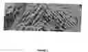 Fig. 03 - Tissue scaffold having aligned fibrils and artificial tissue comprising the same