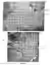 Fig. 07 - Tissue scaffold having aligned fibrils and artificial tissue comprising the same