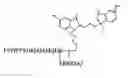 Fig. 01 - Fluorescent ligands for GPCR arrays