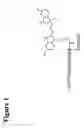 Fig. 02 - Fluorescent ligands for GPCR arrays