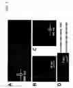Fig. 04 - Peptide and protein arrays and direct-write lithographic printing of peptides and proteins