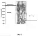 Fig. 06 - Ceramic heat exchanger