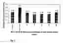 Fig. 02 - Methods to improve lubricity of fuels and lubricants