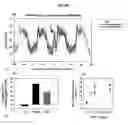 Fig. 02 - Treatment of cns disorders using cns target modulators