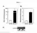 Fig. 02 - Method of treatment and agents useful for same