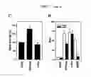Fig. 06 - Method of treatment and agents useful for same
