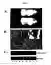 Fig. 07 - Method of treatment and agents useful for same