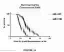 Fig. 07 - Methods of evaluating protein formulation stability and surfactant-stabilized insulin formulation derived therefrom