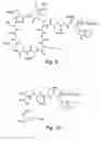 Fig. 06 - High purity lipopeptides