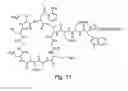 Fig. 07 - High purity lipopeptides