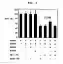 Fig. 08 - Protein inhibiting aggregation of beta amyloid peptide
