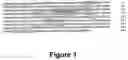 Fig. 02 - Fibroblast growth factor receptors and methods for their use