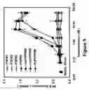 Fig. 06 - Fibroblast growth factor receptors and methods for their use