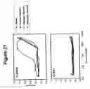 Fig. 22 - Fibroblast growth factor receptors and methods for their use