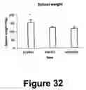 Fig. 33 - Fibroblast growth factor receptors and methods for their use