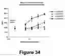 Fig. 35 - Fibroblast growth factor receptors and methods for their use
