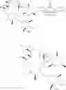 Fig. 29 - Bridged macrocyclic compounds and processes for the preparation thereof