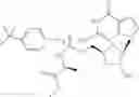 Fig. 09 - Nucleoside compounds in hcv