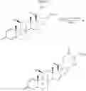 Fig. 09 - Carbonate and carbamate modified forms of glucocorticoids in combination with B2 adrenergic agonists