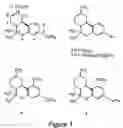 Fig. 02 - CB2-selective cannabinoid analogues