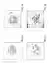 Fig. 09 - Substances for breaking down conformation of microbes