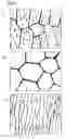 Fig. 05 - Rare earth element-iron-boron alloy and magnetically anisotropic permanent magnet powder and method for production thereof