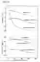 Fig. 18 - Rare earth element-iron-boron alloy and magnetically anisotropic permanent magnet powder and method for production thereof